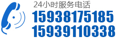 0391-7855919